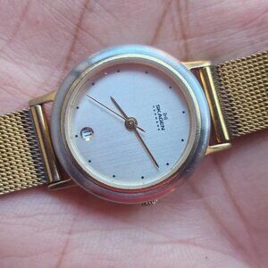 Skagen Denmark Ladies Wristwatch Quartz Analog Date Calendar Mesh Metal Band
